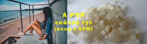 дживик Вяземский