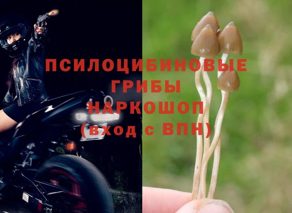 дживик Вяземский