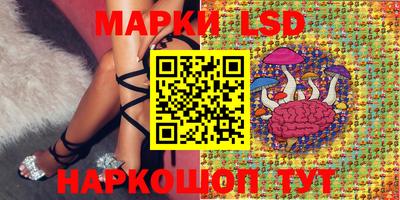 эйфоретик Берёзовский