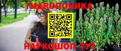 эйфоретик Берёзовский