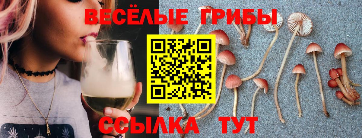 Дзержинский  Галлюциногенные грибы мухоморы  Вход с VPN  Псилоцибиновые грибы MAGIC MUSHROOMS 
