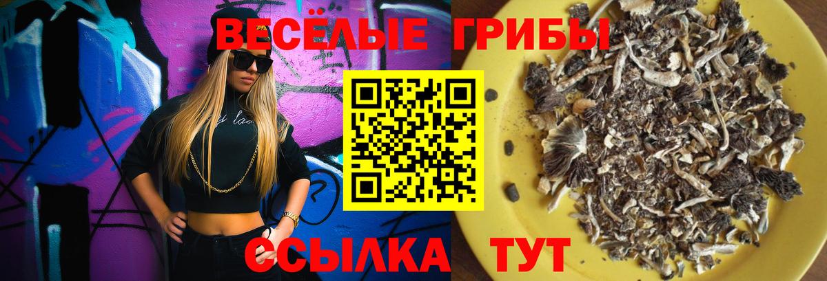 Псилоцибиновые грибы Psilocybine cubensis  купить закладку  Дзержинский  Галлюциногенные грибы ЛСД 